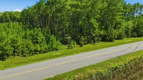 tbd Flag Patch Rd, Loris, SC 29569 photo 7