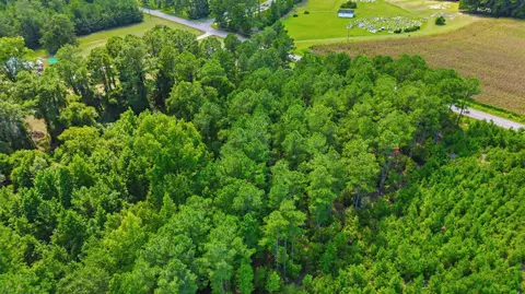 tbd Flag Patch Rd, Loris, SC 29569 photo 2