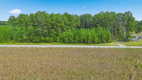 tbd Flag Patch Rd, Loris, SC 29569 photo 10