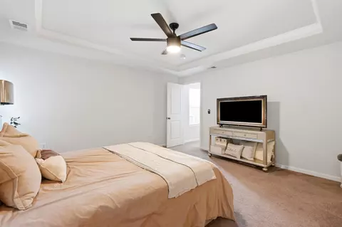 Bedroom - 424 Black Cherry Way, Conway, SC 29526 photo 2 of 5