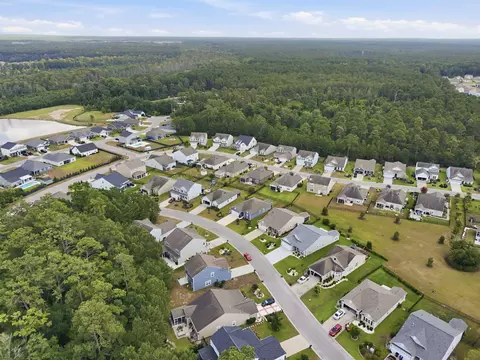 View/Area - 424 Black Cherry Way, Conway, SC 29526 photo 3 of 5