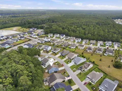 View/Area - 424 Black Cherry Way, Conway, SC 29526 photo 2 of 5