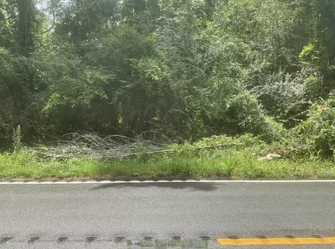 tbd Cow Head Rd, Hemingway, SC 29554 photo 6