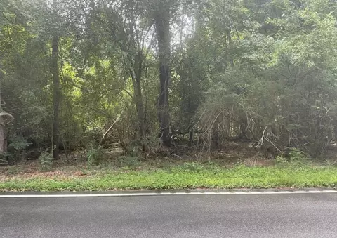 tbd Cow Head Rd, Hemingway, SC 29554 photo 4