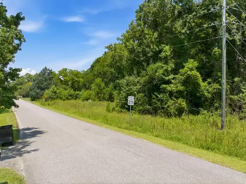 tbd Highway 66, Conway, SC 29526 photo 18