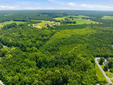 tbd Highway 66, Conway, SC 29526 photo 17