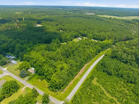 tbd Highway 66, Conway, SC 29526 photo 14