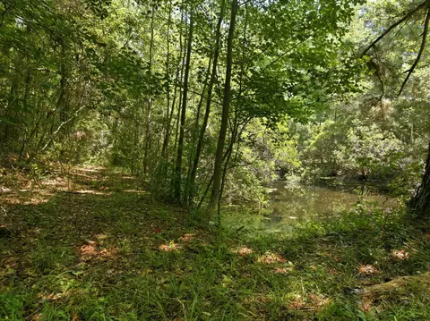 tbd Highway 66, Conway, SC 29526 photo 7