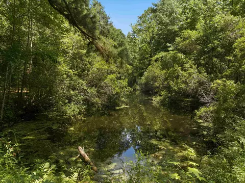 tbd Highway 66, Conway, SC 29526 photo 6
