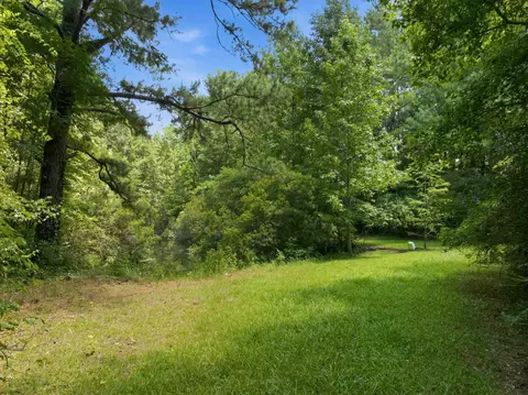 tbd Highway 66, Conway, SC 29526 photo 5