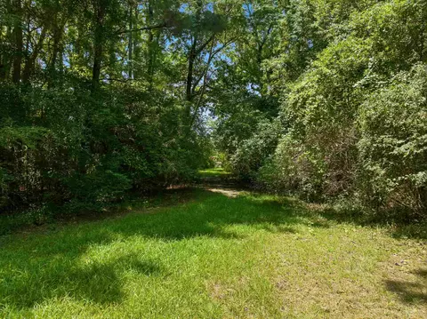 tbd Highway 66, Conway, SC 29526 photo 4