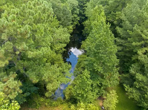 tbd Highway 66, Conway, SC 29526 photo 9