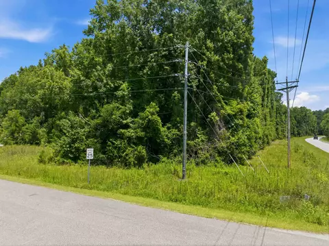 tbd Highway 66, Conway, SC 29526 photo 21