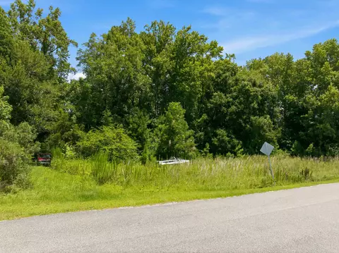 tbd Highway 66, Conway, SC 29526 photo 19