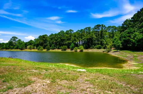 View/Area - 112 Barons Bluff Dr, Conway, SC 29526 photo 1 of 1