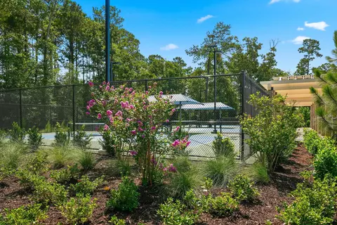 View/Area - 2524 Rowyn St, Longs, SC 29568 photo 8 of 13