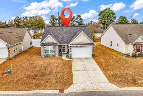 View/Area - 323 Borrowdale Dr, Conway, SC 29526 photo 2 of 5