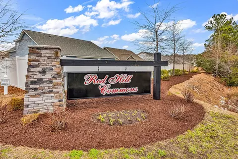 View/Area - 323 Borrowdale Dr, Conway, SC 29526 photo 1 of 5