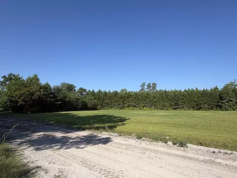 tbd Seletha Ln, Loris, SC 29569 photo 5