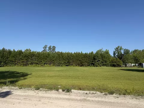 tbd Seletha Ln, Loris, SC 29569 photo 7