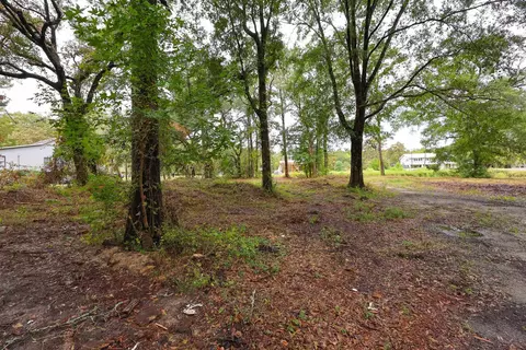 lot10 B Lees Landing Cir, Conway, SC 29526 photo 8