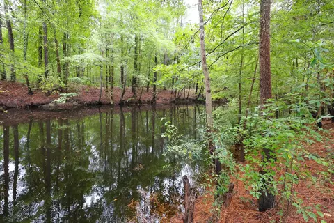 lot10 B Lees Landing Cir, Conway, SC 29526 photo 7