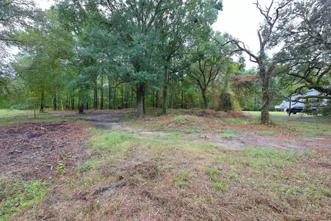 lot10 B Lees Landing Cir, Conway, SC 29526 photo 4