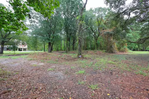 lot10 B Lees Landing Cir, Conway, SC 29526 photo 9