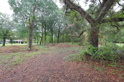 lot10 B Lees Landing Cir, Conway, SC 29526 photo 5