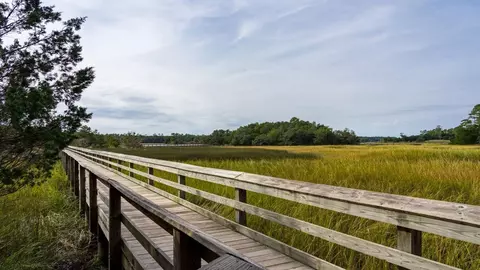 Other - 829 Old Pine Dr, Longs, SC 29568 photo 8 of 11
