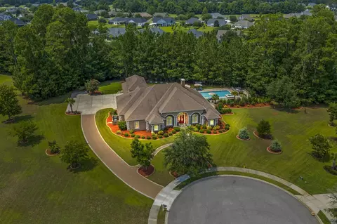 View/Area - 1040 Anhinga Ct, Conway, SC 29526 photo 1 of 4