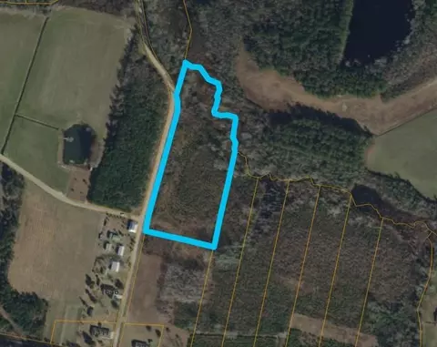 1391 Justice Loop, Loris, SC 29569 photo 4
