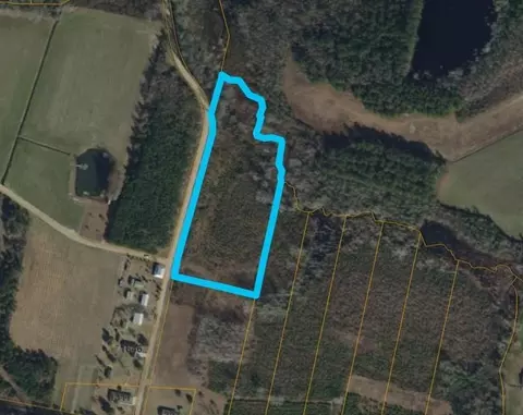 1391 Justice Loop, Loris, SC 29569 photo 34