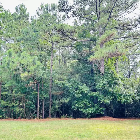 18 Monarch Ct, Pawleys Island, SC 29585