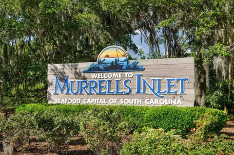 Other - 313 Deer Path Dr, Murrells Inlet, SC 29576 photo 17 of 18