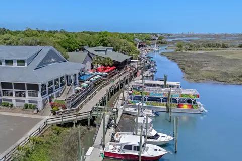 View/Area - 313 Deer Path Dr, Murrells Inlet, SC 29576 photo 9 of 9