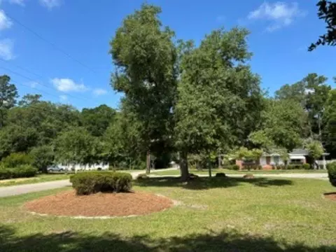Exterior - 500 E Andrews St, Hemingway, SC 29554 photo 2 of 5