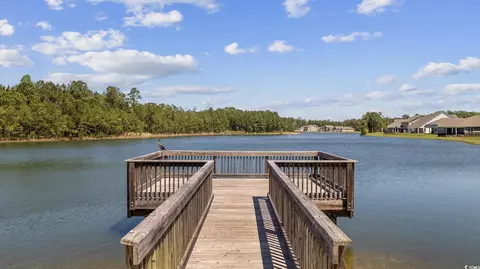 View/Area - 183 Juniata Loop, Little River, SC 29566 photo 1 of 7
