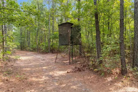 155 81acres- Roper Woods Rd, Lake City, SC 29560
