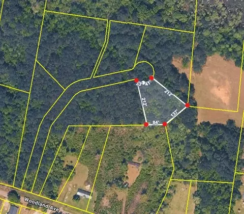 tbd Right Hand Ct, Georgetown, SC 29440 photo 8