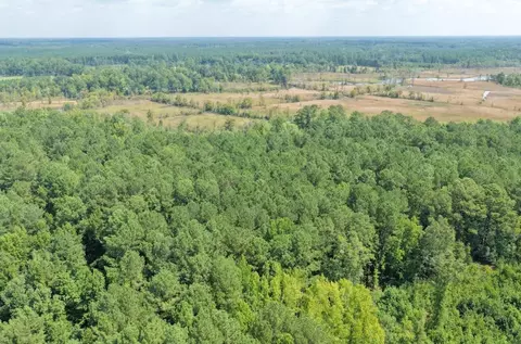 tbd Right Hand Ct, Georgetown, SC 29440 photo 6