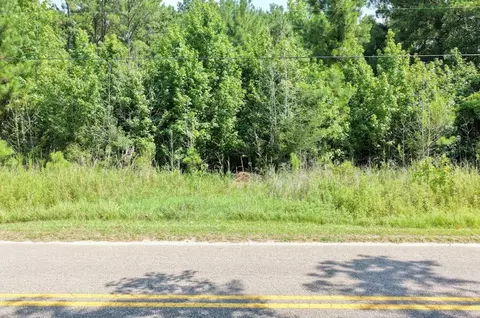 tbd Right Hand Ct, Georgetown, SC 29440 photo 2