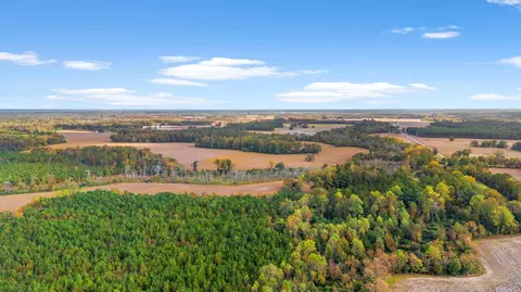 17 Arnette Road, Dillon, SC 29536 photo 18