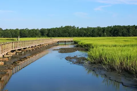 View/Area - 55 Stone Path, Murrells Inlet, SC 29576 photo 3 of 4