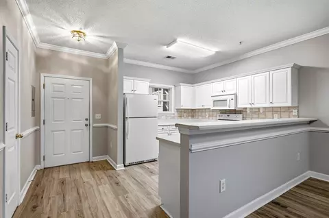 Other - 302 Kiskadee Loop UNIT B, Conway, SC 29526 photo 1 of 9