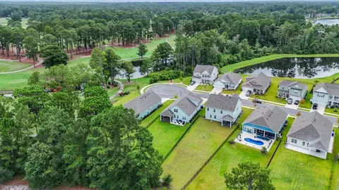 View/Area - 1008 Beechfield Ct, Conway, SC 29526 photo 2 of 4