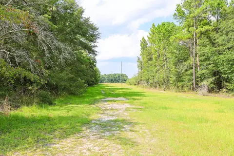 tbd Mcnabb Shortcut Rd, Loris, SC 29569 photo 12