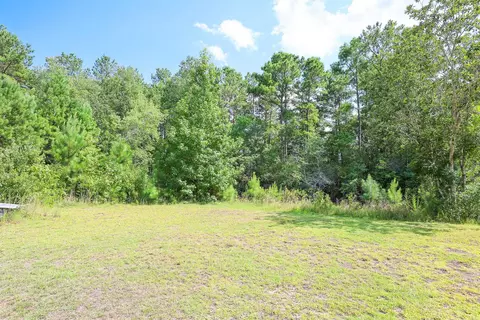 tbd Mcnabb Shortcut Rd, Loris, SC 29569 photo 9