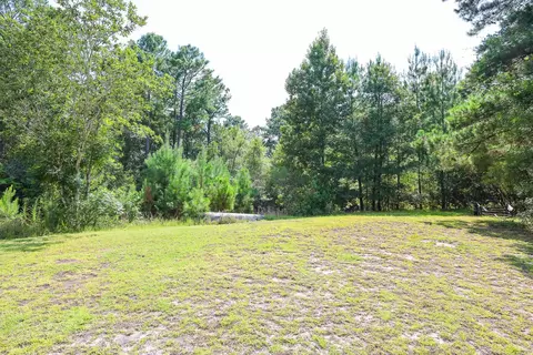 tbd Mcnabb Shortcut Rd, Loris, SC 29569 photo 8