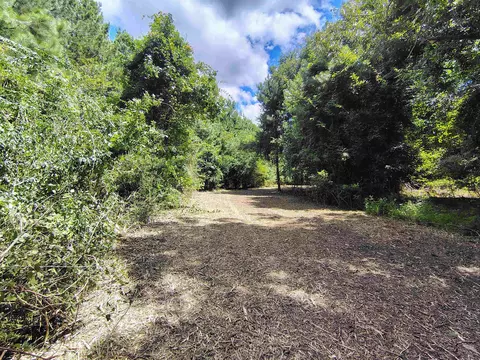 tbd Hwy 9, Longs, SC 29568 photo 15